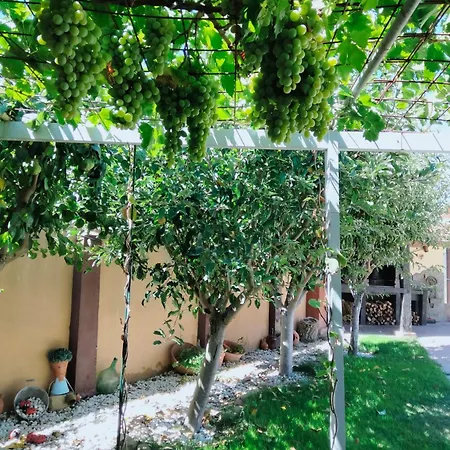 El Rincon De Arabayona *