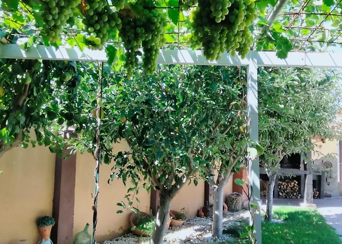 El Rincón De Arabayona *